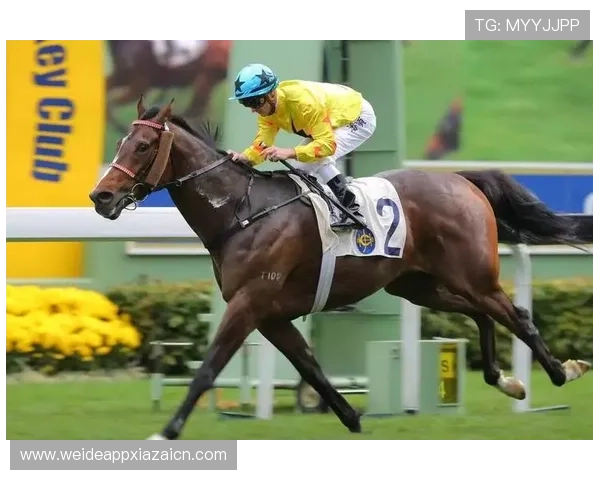 KB体育APP下载最新官方版本，畅享极速体育赛事直播与专业赛事分析